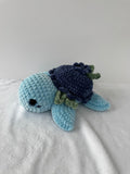 Tortue bleuet