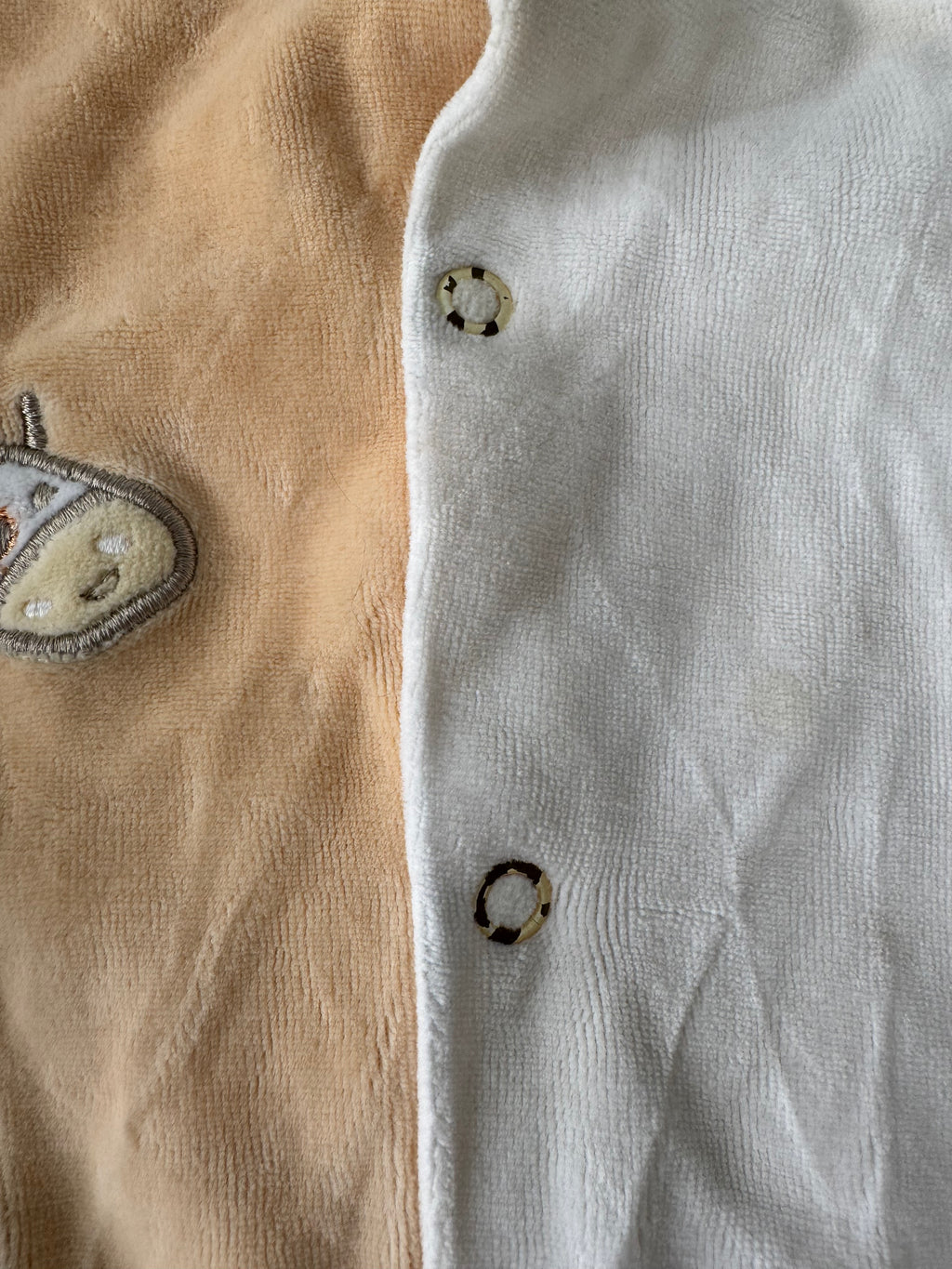 Canari baby 6 mois *voir boutons / velour doux