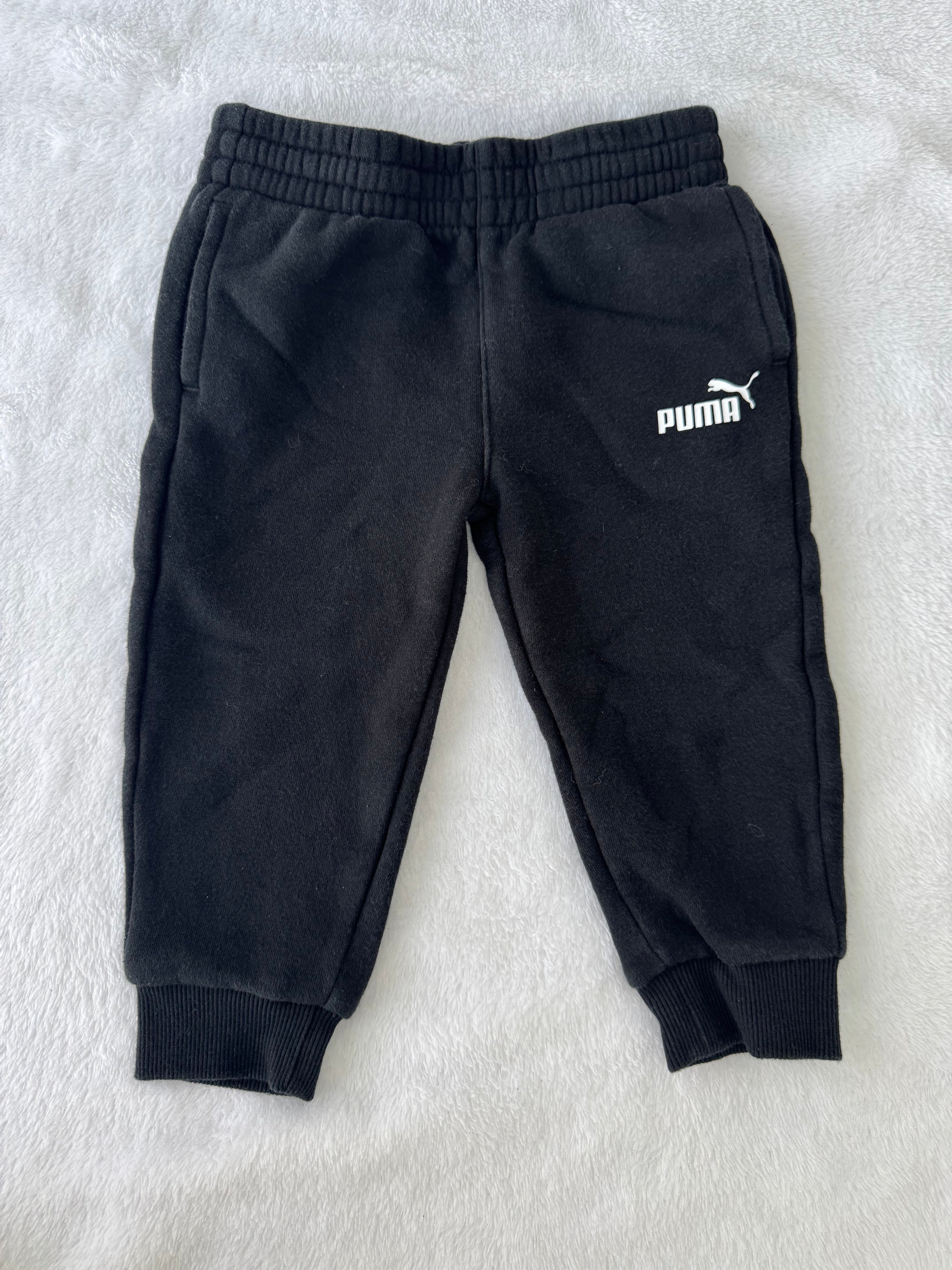 Puma 2 ans